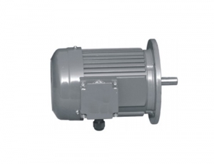 晟邦減速機 標準ICE三相馬達